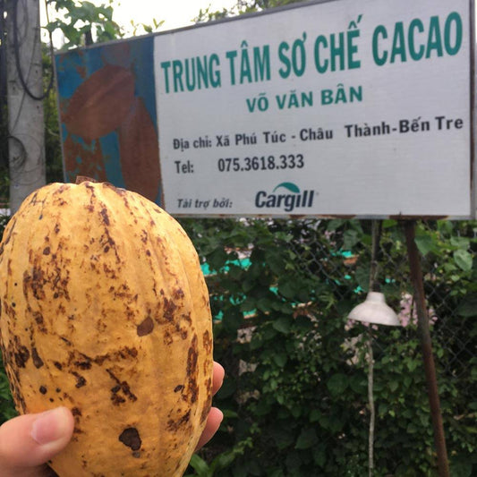 カカオの生産地を知ろう（ベンチェ, ベトナム）